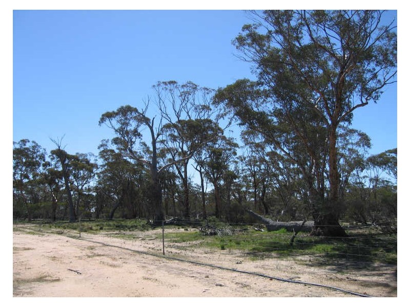 988 Arthur Road, North Baandee, Kellerberrin WA 6410