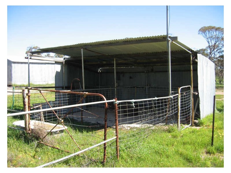 988 Arthur Road, North Baandee, Kellerberrin WA 6410