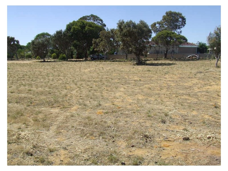 16 Powell Crescent, Quairading WA 6383