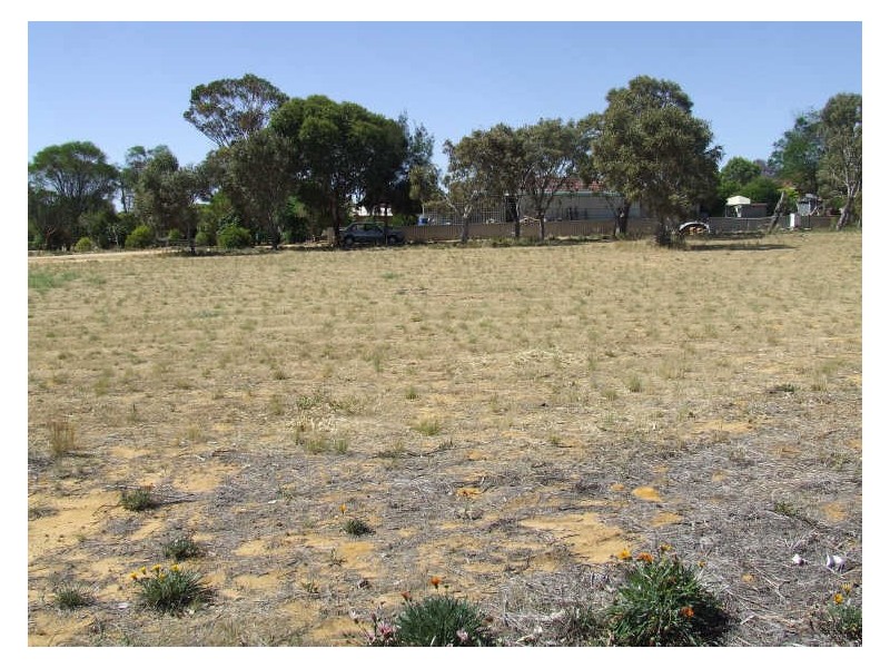 16 Powell Crescent, Quairading WA 6383