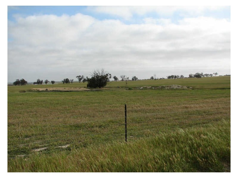 Lot 10296 Hill Road, Meckering WA 6405