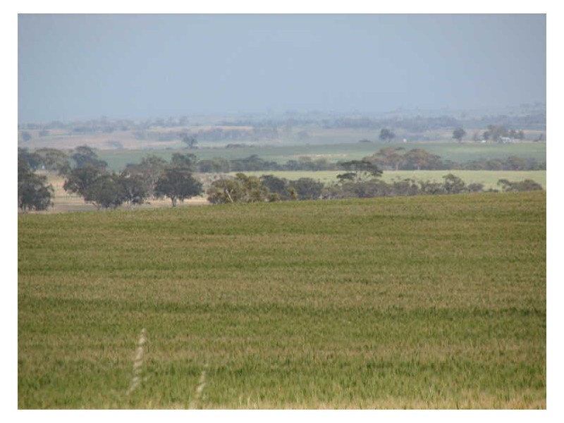 Lot 10296 Hill Road, Meckering WA 6405