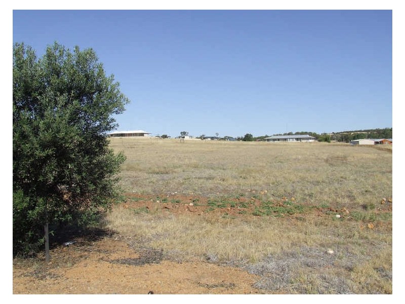 152 Newcastle Street (Lot 15), York WA 6302