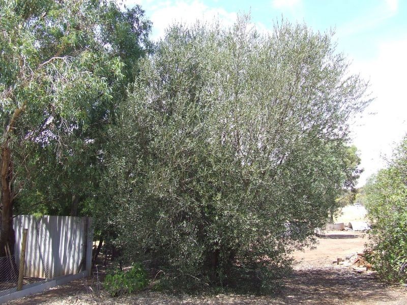 3 Steere Road, York WA 6302