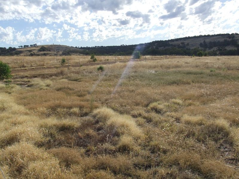 41 Knotts Road, York WA 6302