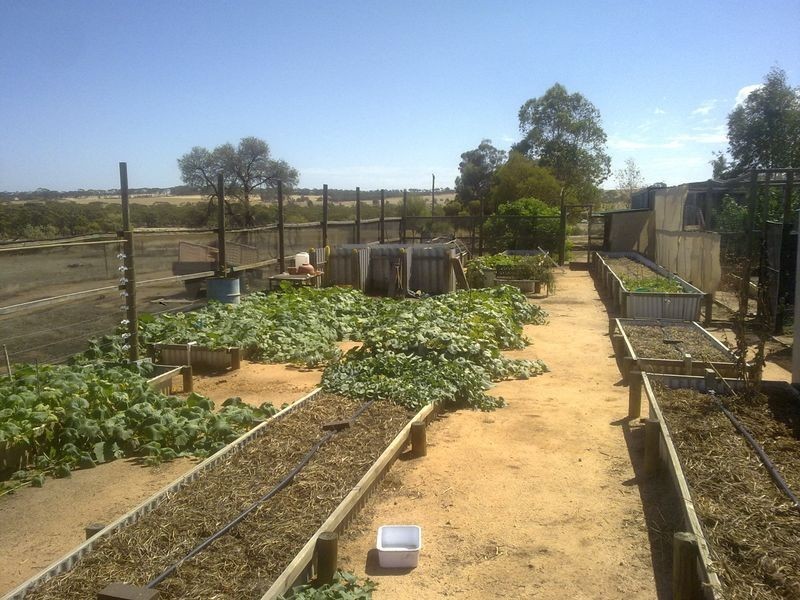 280 Cubbine Road, Badgin WA 6302