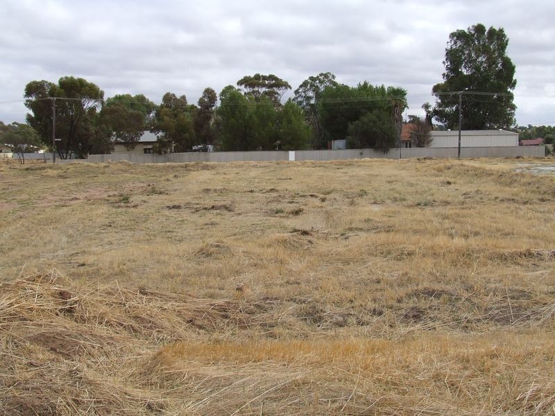 75 Lockyer Avenue, Northam WA 6401