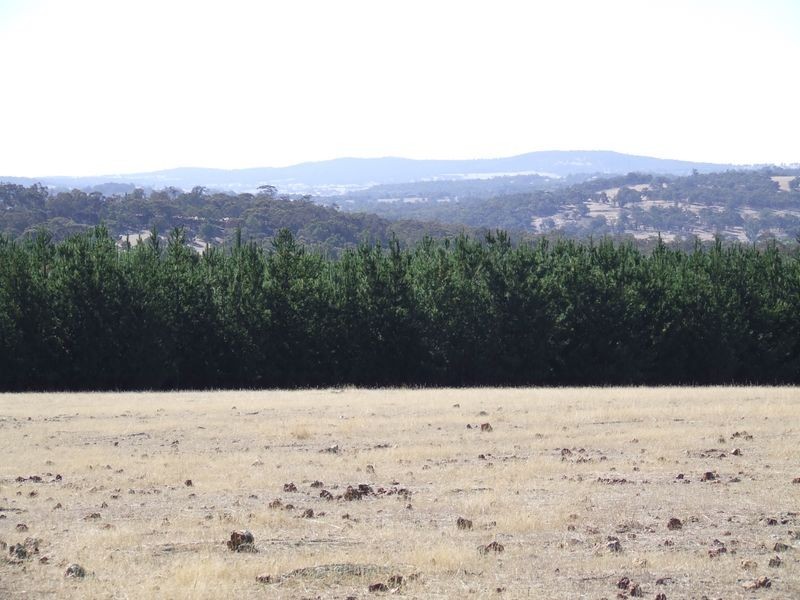 Lot 27696 Berry Brow Road, Badgin WA 6302