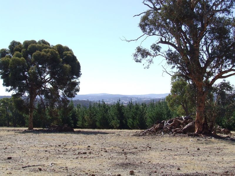Lot 27696 Berry Brow Road, Badgin WA 6302