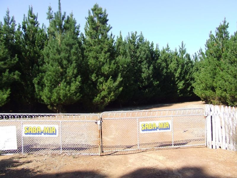 Lot 27696 Berry Brow Road, Badgin WA 6302