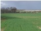 390 Growden Road & Lot 19948 Cahill Road, Merredin WA 6415