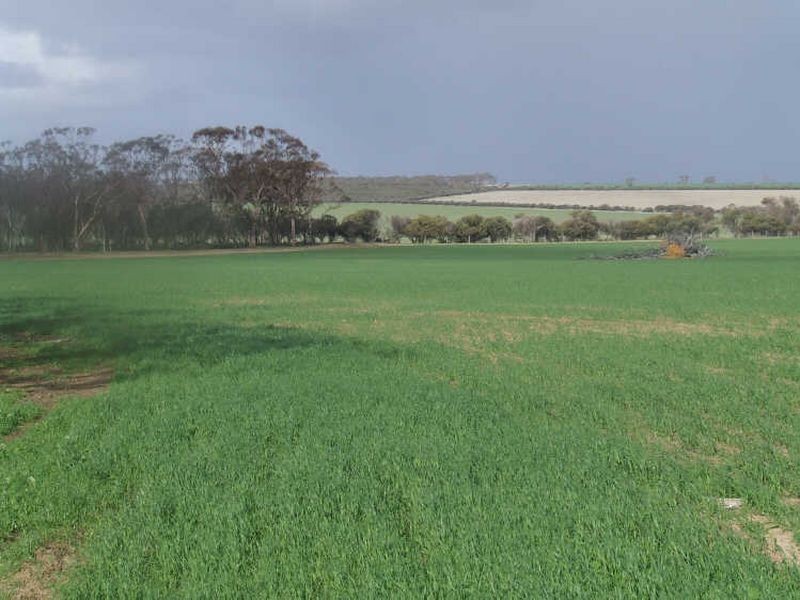390 Growden Road & Lot 19948 Cahill Road, Merredin WA 6415