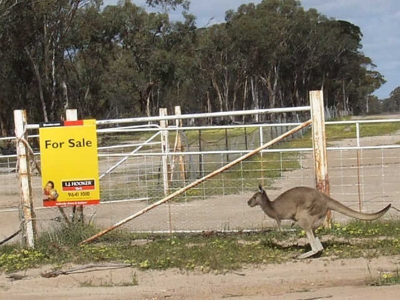 390 Growden Road & Lot 19948 Cahill Road, Merredin WA 6415