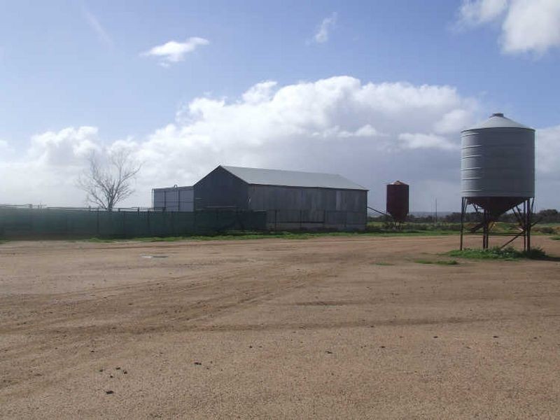 390 Growden Road & Lot 19948 Cahill Road, Merredin WA 6415