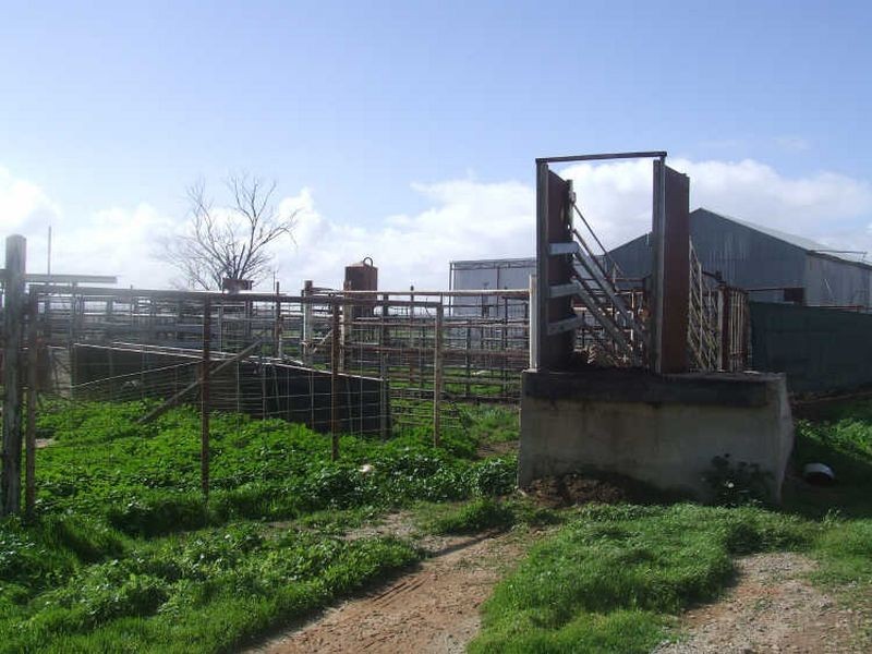 390 Growden Road & Lot 19948 Cahill Road, Merredin WA 6415