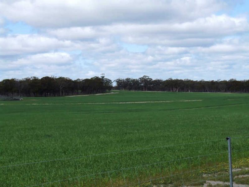 390 Growden Road & Lot 19948 Cahill Road, Merredin WA 6415