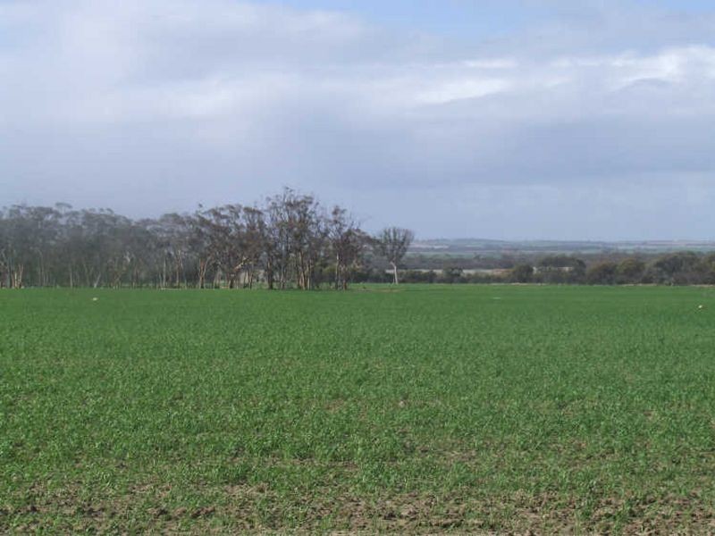 390 Growden Road & Lot 19948 Cahill Road, Merredin WA 6415