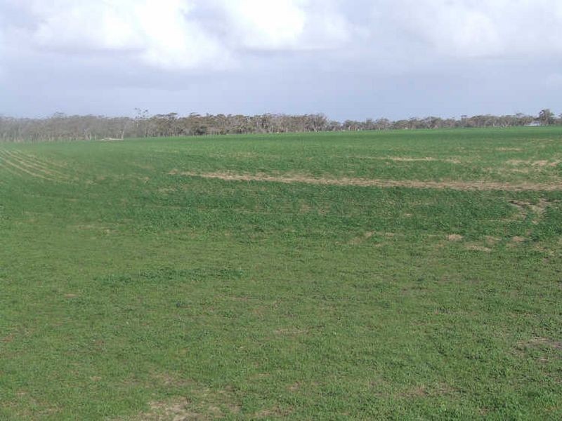 390 Growden Road & Lot 19948 Cahill Road, Merredin WA 6415