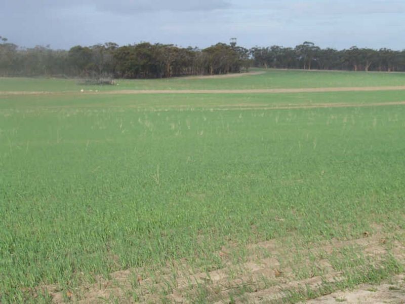 390 Growden Road & Lot 19948 Cahill Road, Merredin WA 6415