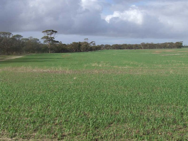 390 Growden Road & Lot 19948 Cahill Road, Merredin WA 6415