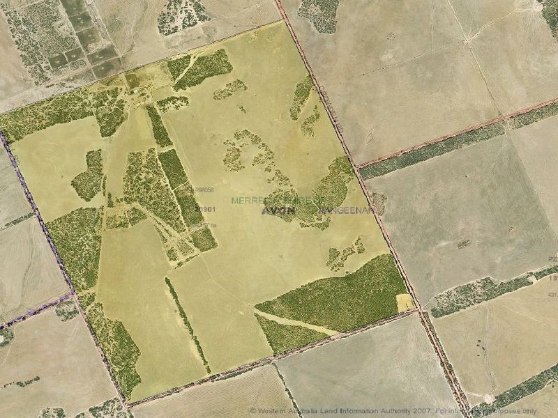 390 Growden Road & Lot 19948 Cahill Road, Merredin WA 6415