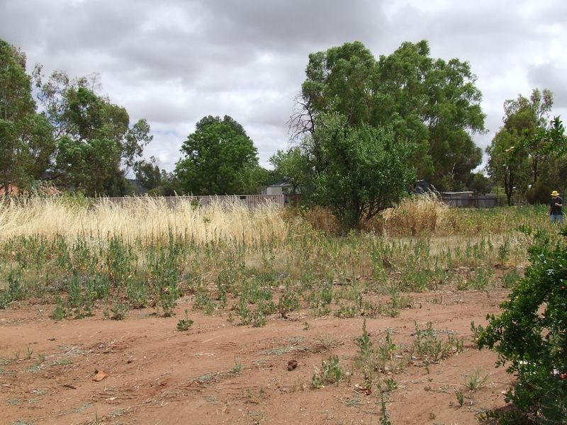 10 Pool Street, York WA 6302