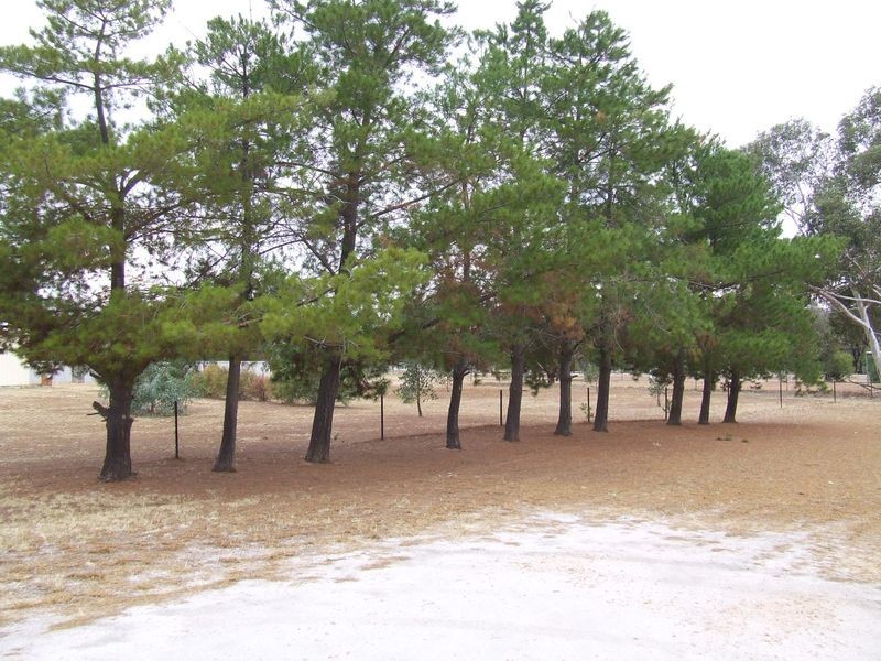 35 Bland Road, York WA 6302