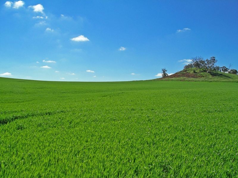 204 Myanarra Road, York WA 6302