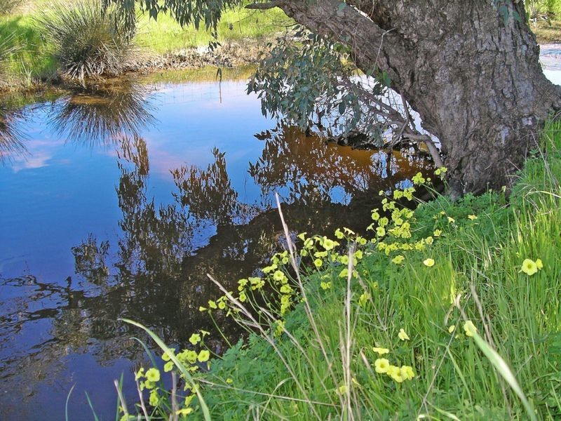 204 Myanarra Road, York WA 6302