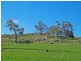 204 Myanarra Road, York WA 6302