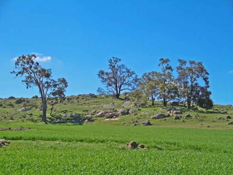 204 Myanarra Road, York WA 6302