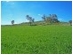 204 Myanarra Road, York WA 6302