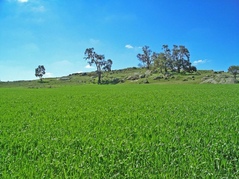 204 Myanarra Road, York WA 6302