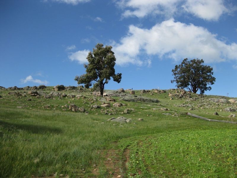 204 Myanarra Road, York WA 6302