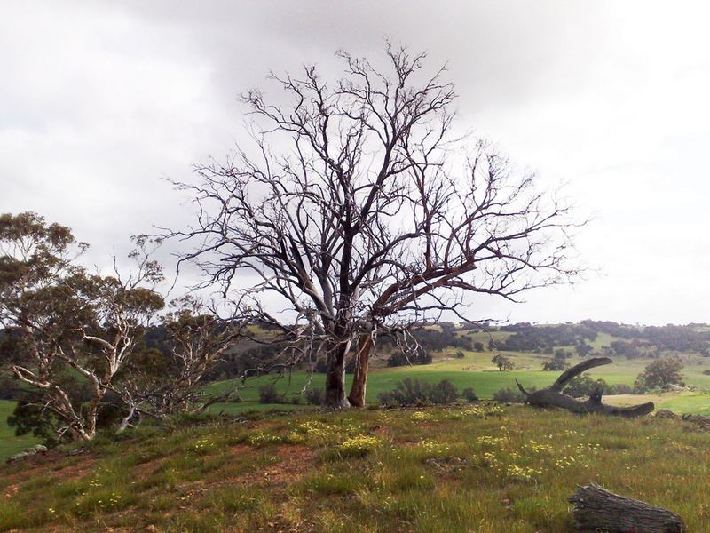 204 Myanarra Road, York WA 6302