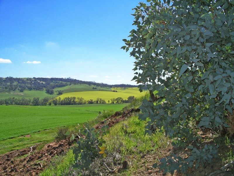 204 Myanarra Road, York WA 6302