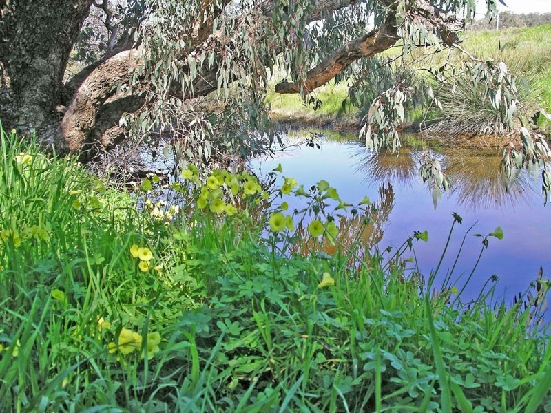 204 Myanarra Road, York WA 6302