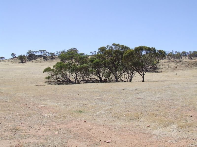 Lot 77 Top Beverley Road, York WA 6302