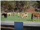 30 Ulster Rd, York WA 6302