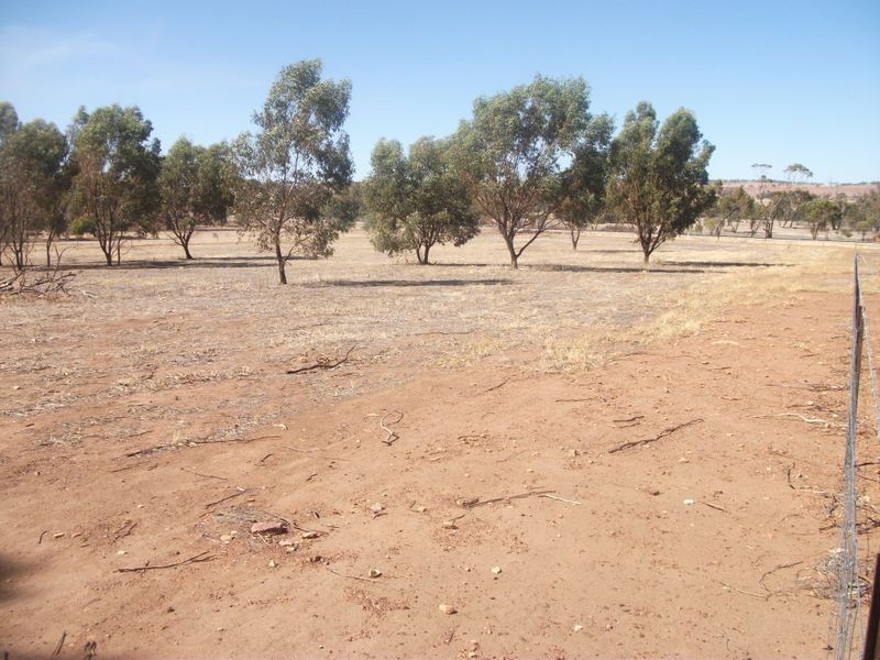 42 Prunster Road, York WA 6302