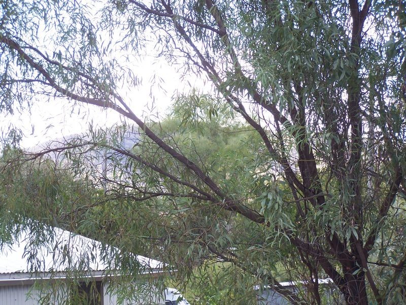 11 Morse Street, York WA 6302