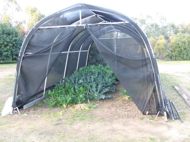 272 Avon Terrace, York WA 6302