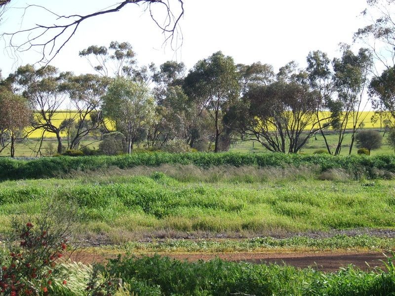 1 Railway Street, Beverley WA 6304