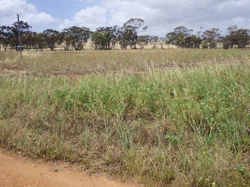 1867 Top Beverley Road, York WA 6302