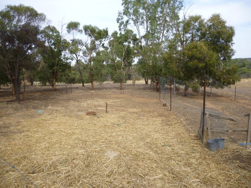 8 Spencers Brook Road, York WA 6302