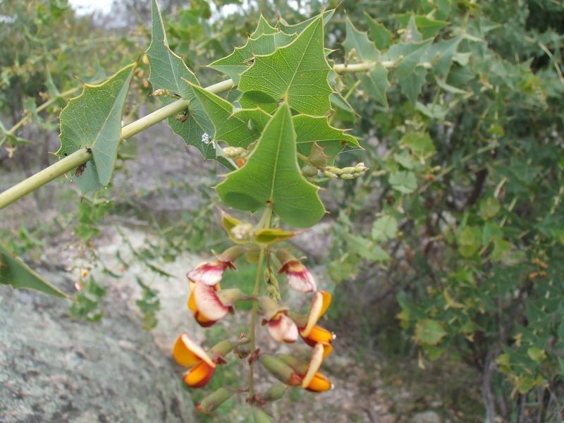 Lot 86 Butchers Road, Beverley WA 6304