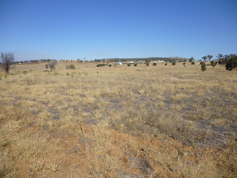 6 Red Swamp Place, York WA 6302