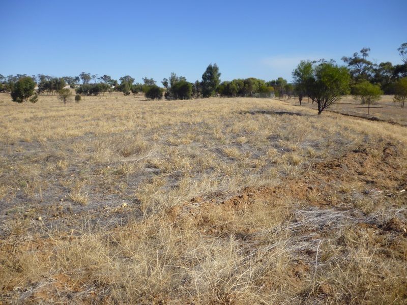 6 Red Swamp Place, York WA 6302