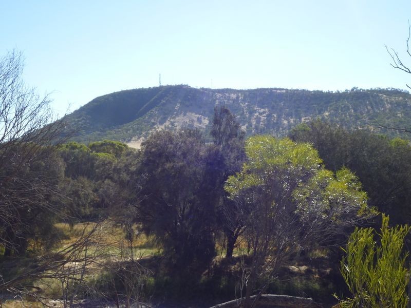 6 Red Swamp Place, York WA 6302