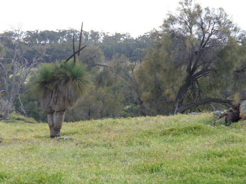 Lot 4 Ashworth Road, York WA 6302